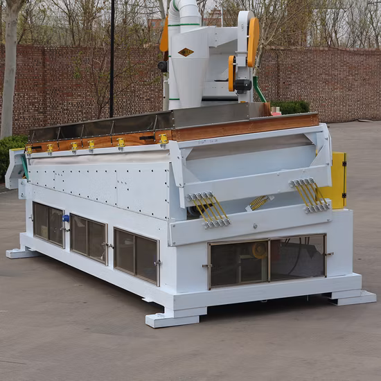 Tipo de cajón que divide la máscara facial del lápiz labial que clasifica el polvo