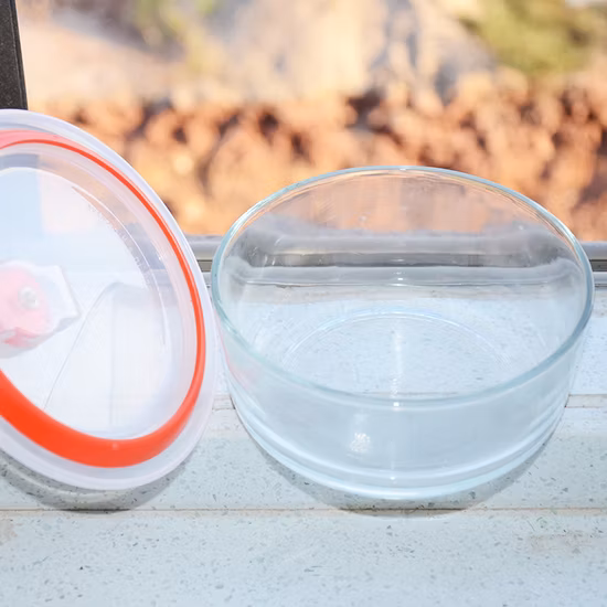 Caja de conservación de 700 ml, lonchera para microondas, tazón de sopa de vidrio resistente a altas temperaturas, caja Bento portátil sellada para el hogar, pequeña y floral